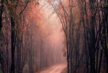 步行者憾负，低迷状态难以克服