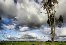 英超：科尔克兹4000万英镑转会利物浦，遗憾的是米兰202