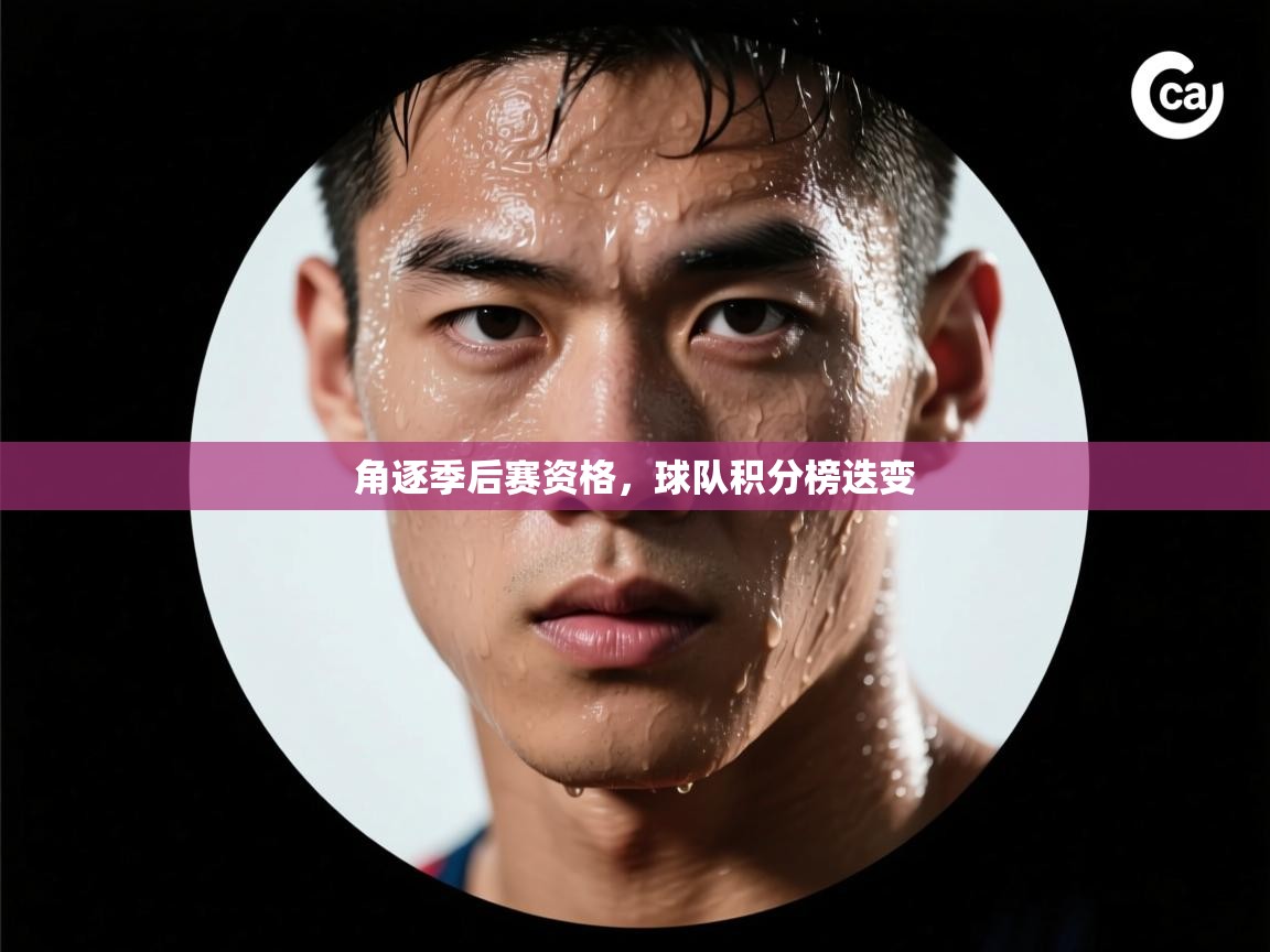 角逐季后赛资格,球队积分榜迭变 第2张